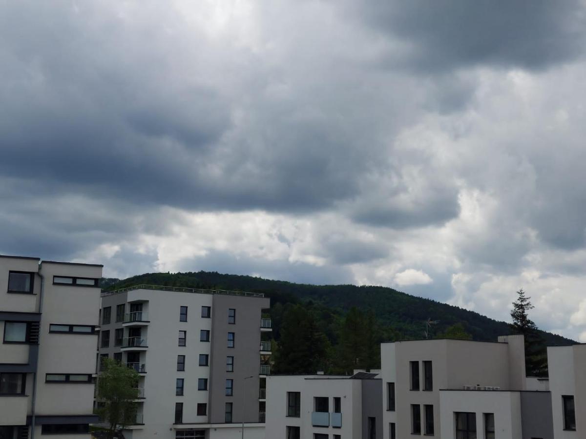 Apartament pod górą Szyndzielnia , Dębowiec Bielsko-Biała Zewnętrze zdjęcie