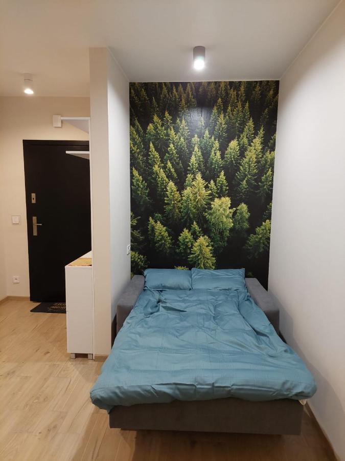 Apartament pod górą Szyndzielnia , Dębowiec Bielsko-Biała Zewnętrze zdjęcie