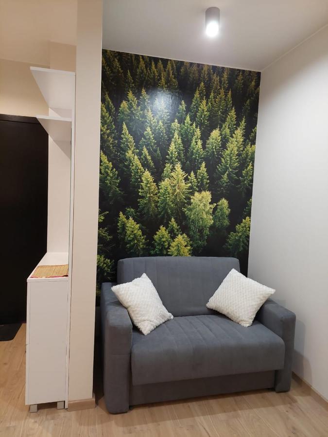 Apartament pod górą Szyndzielnia , Dębowiec Bielsko-Biała Zewnętrze zdjęcie