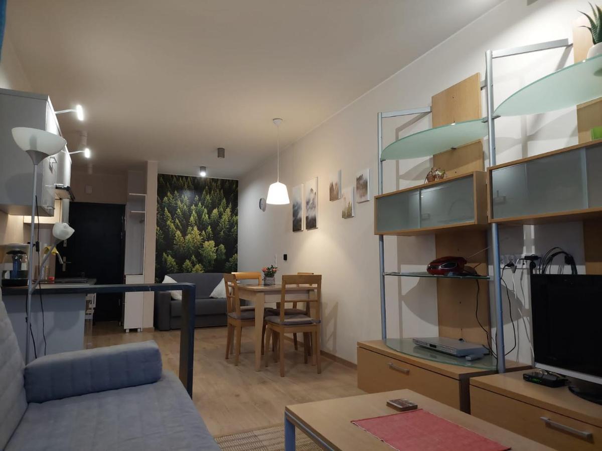 Apartament pod górą Szyndzielnia , Dębowiec Bielsko-Biała Zewnętrze zdjęcie
